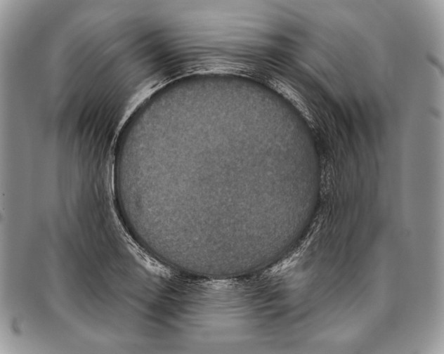 X0000094771130200712071127