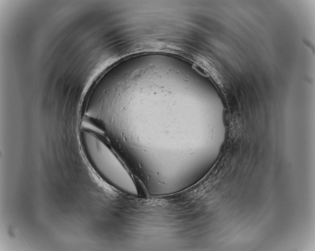 X0000094771136200712071127