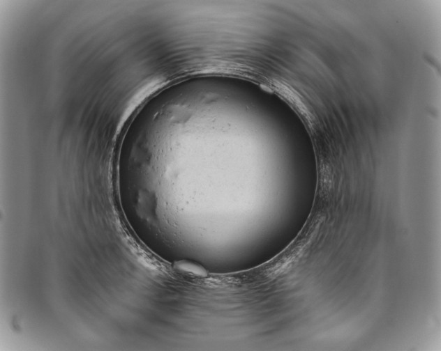 X0000094771138200712071127