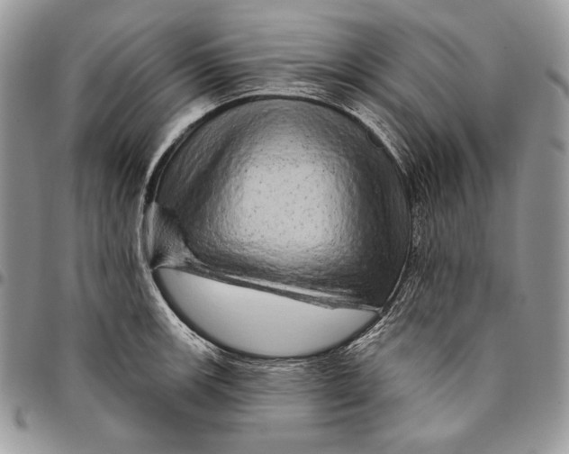 X0000094771139200712071127