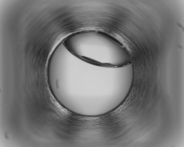 X0000094771140200712071127