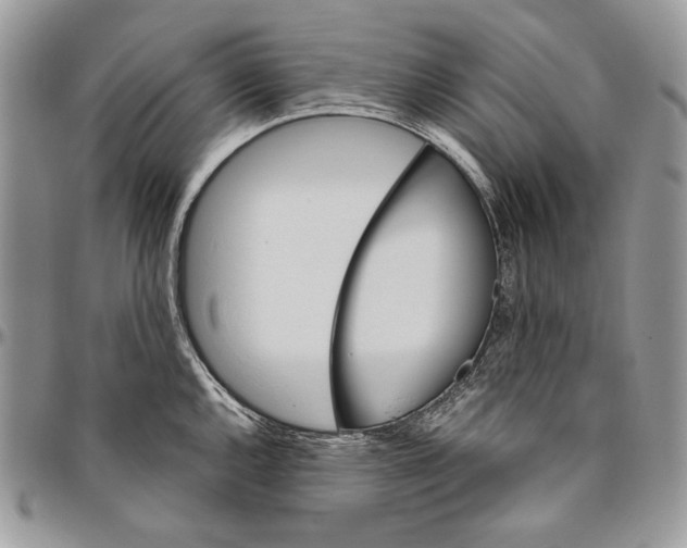 X0000094771144200712071127