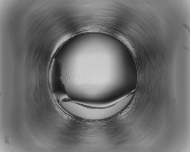 X0000094771146200712071127