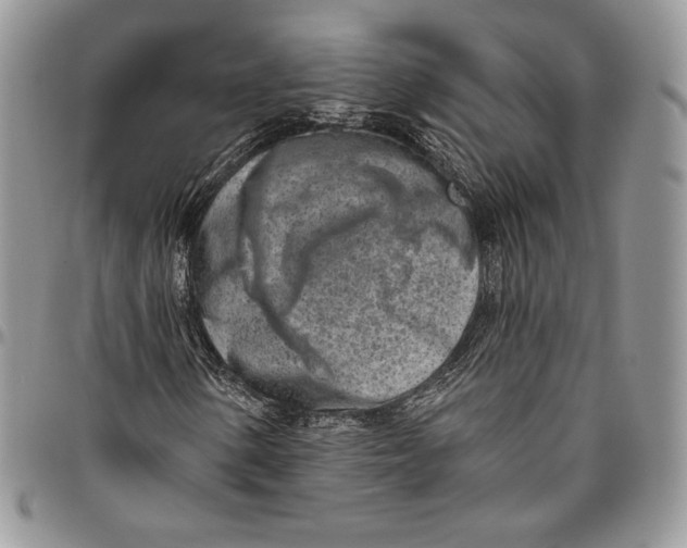 X0000094771154200712071127