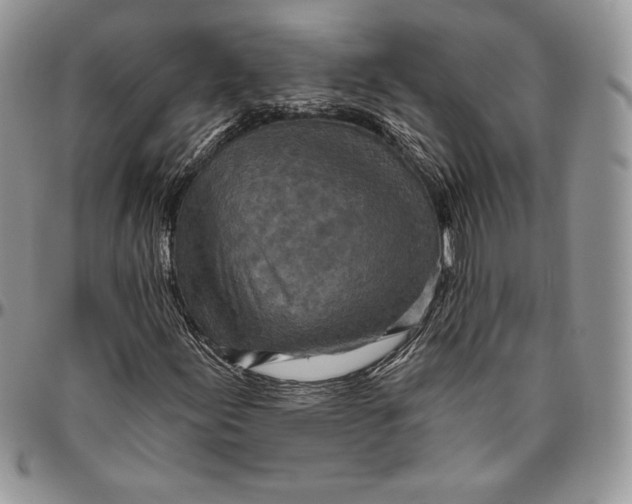 X0000094771155200712071127