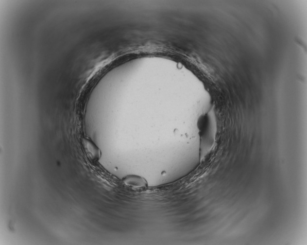 X0000094771160200712071127