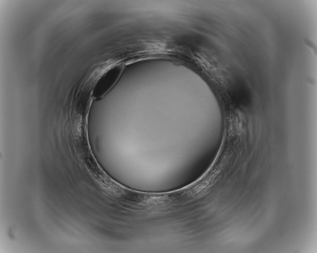 X0000094771161200712071127