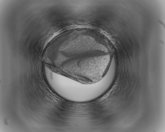 X0000094771165200712071126