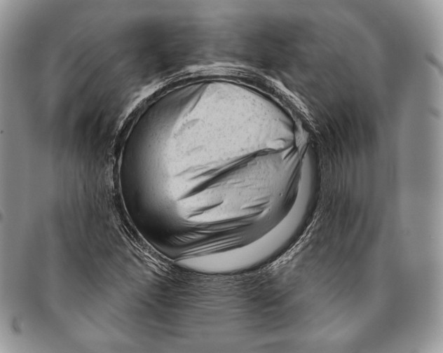 X0000094771166200712071126