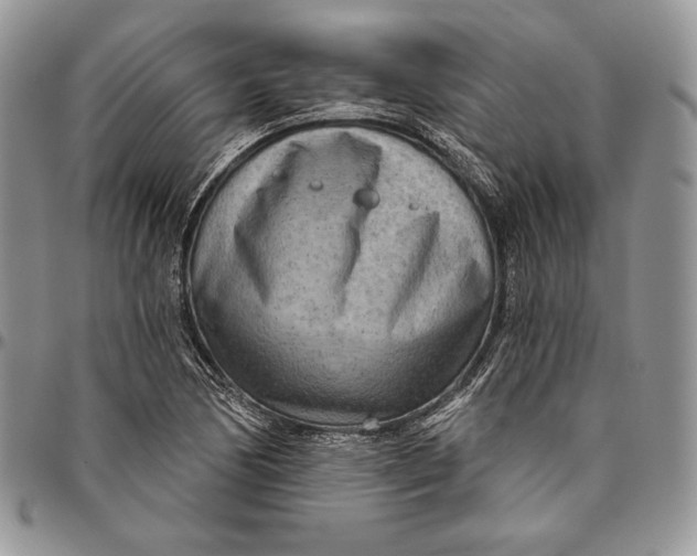 X0000094771170200712071126