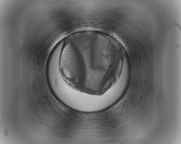 X0000094771173200712071126