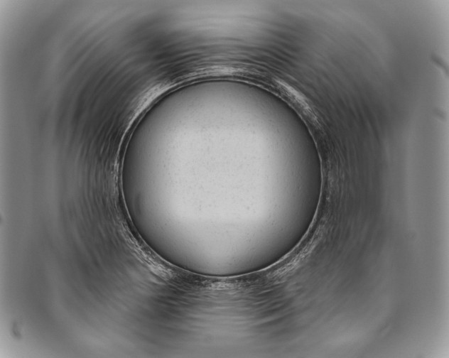 X0000094771178200712071126