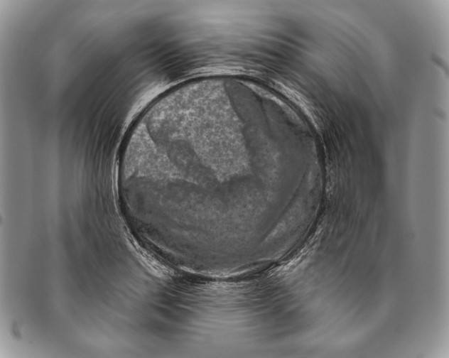 X0000094771179200712071126