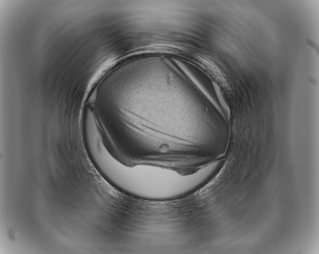 X0000094771180200712071126