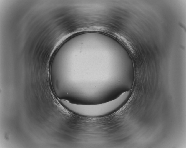 X0000094771184200712071126