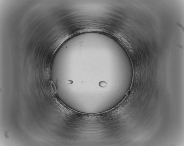 X0000094771185200712071126