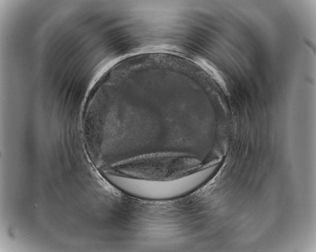 X0000094771192200712071126