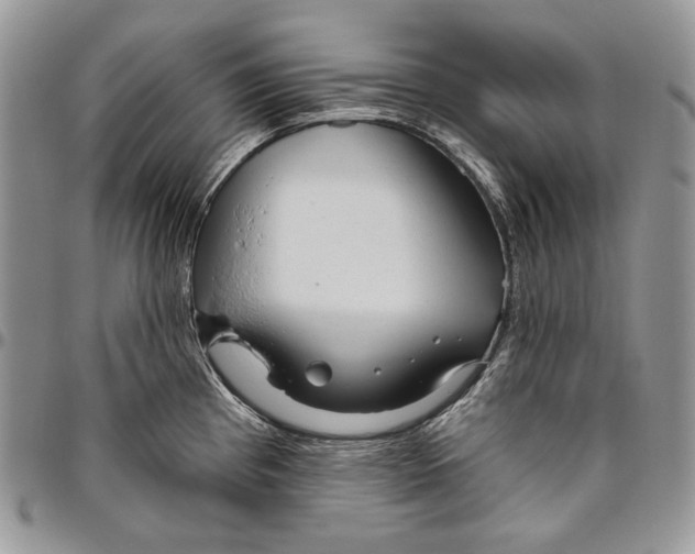 X0000094771193200712071126