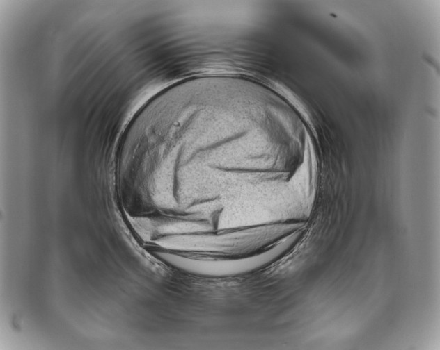 X0000094771195200712071126