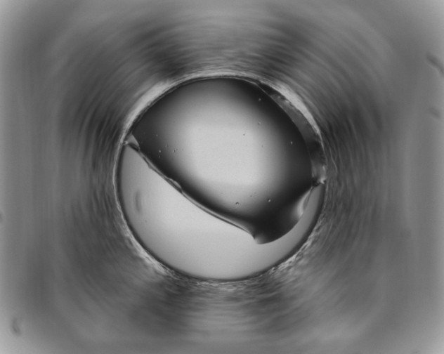 X0000094771197200712071126