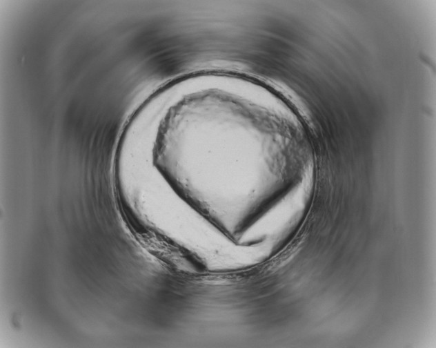 X0000094771199200712071126