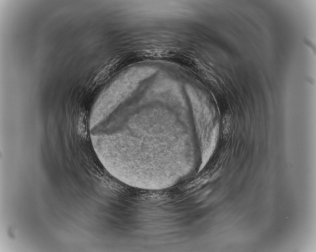 X0000094771202200712071125