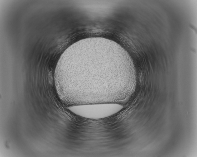 X0000094771204200712071125