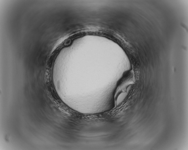 X0000094771208200712071125