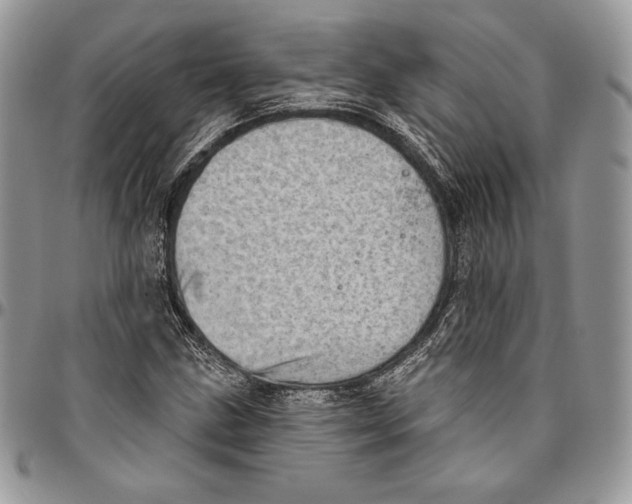 X0000094771211200712071125