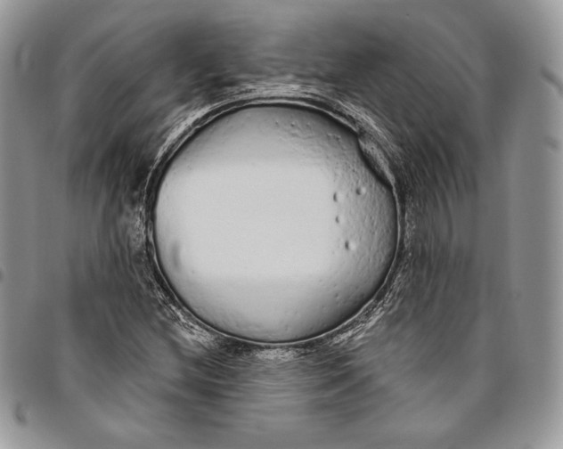 X0000094771212200712071125