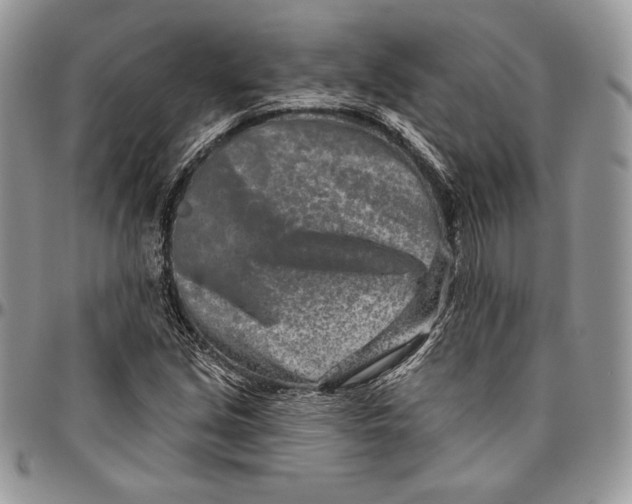 X0000094771213200712071126