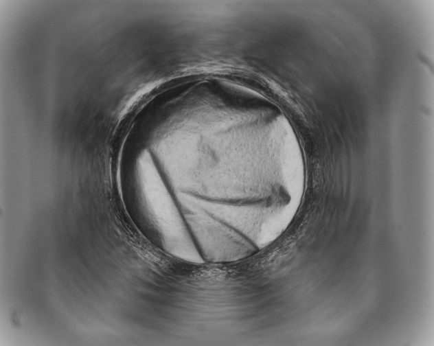 X0000094771214200712071126