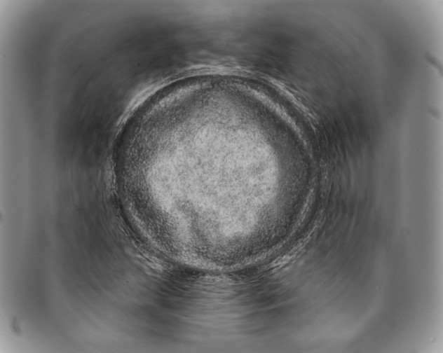 X0000094771215200712071126