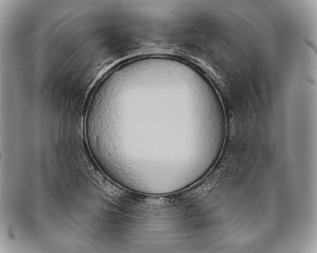 X0000094771220200712071126