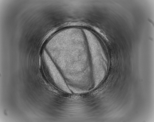 X0000094771221200712071126