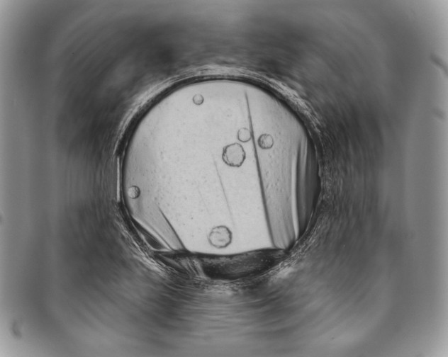 X0000094771223200712071126