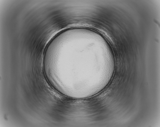 X0000094771228200712071126