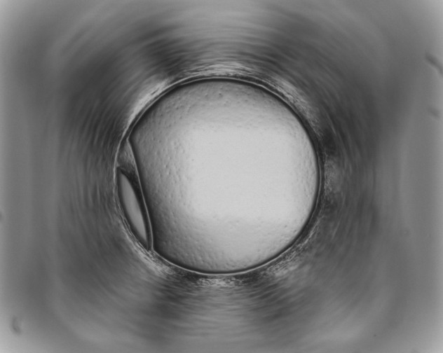 X0000094771234200712071126