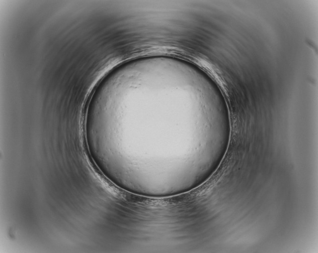 X0000094771235200712071126