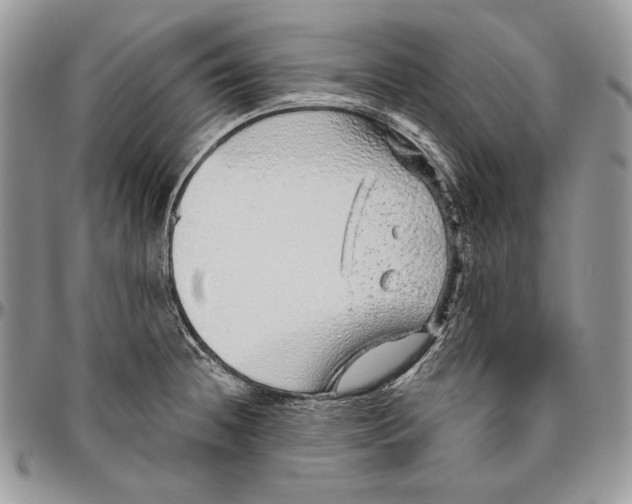 X0000094771236200712071126