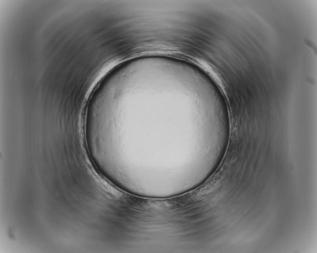 X0000094771243200712071126