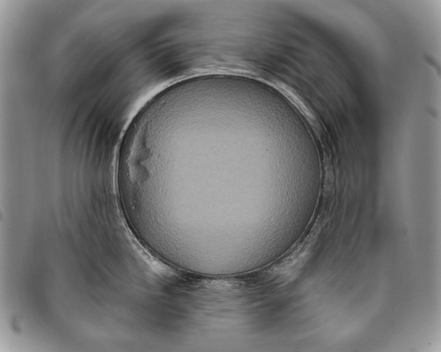 X0000094771246200712071126