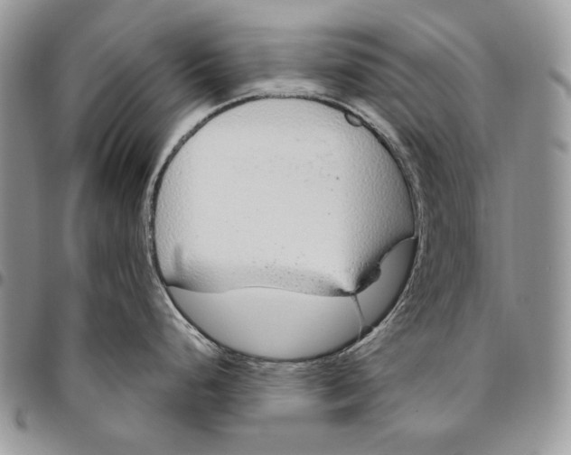 X0000094771248200712071126