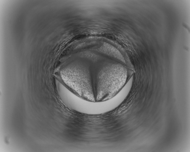 X0000094771249200712071125