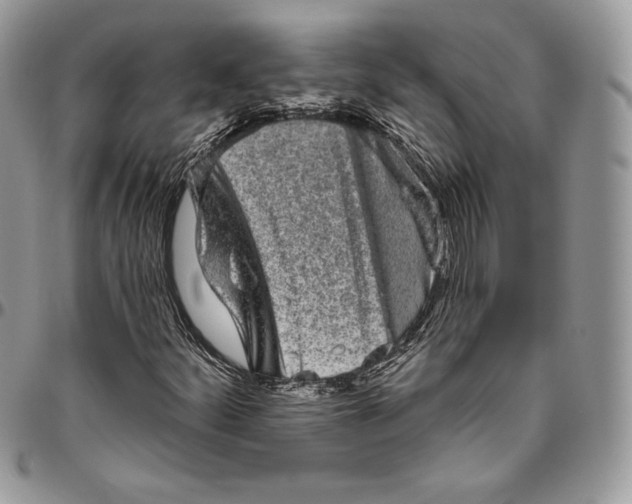 X0000094771252200712071125