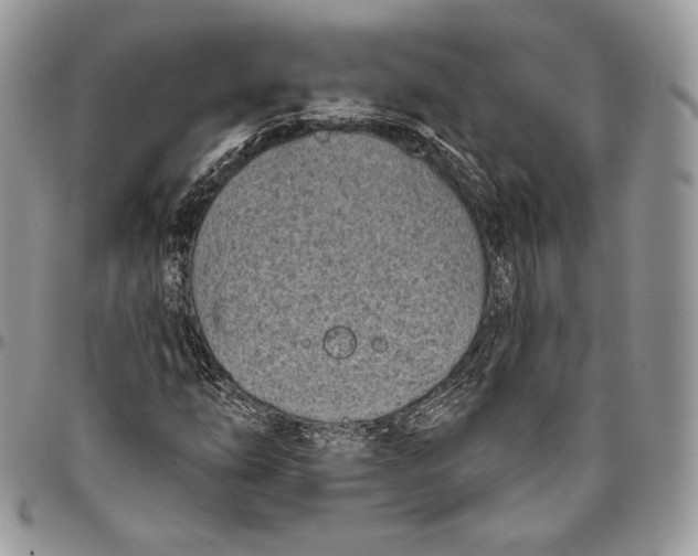 X0000094771254200712071125