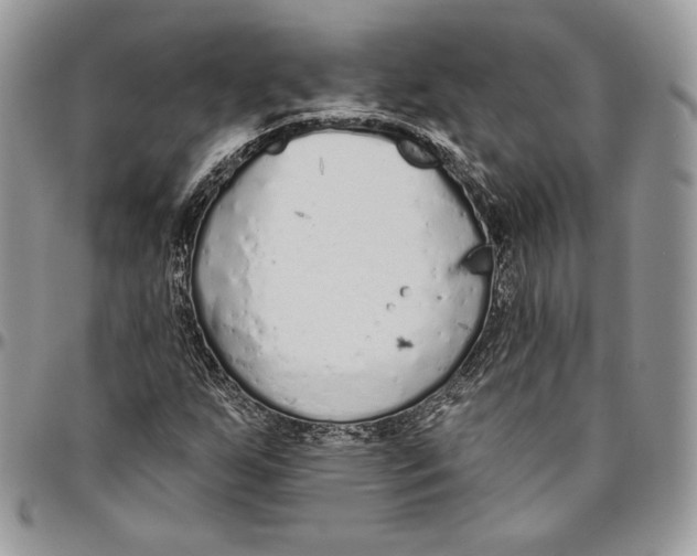 X0000094771255200712071125