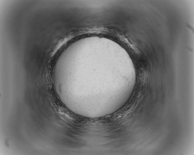 X0000094771256200712071125