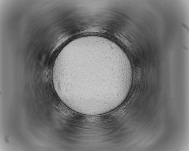 X0000094771258200712071125