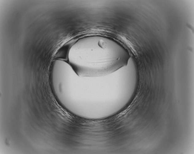 X0000094771260200712071125